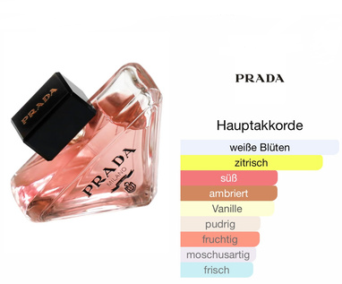 prada paradox